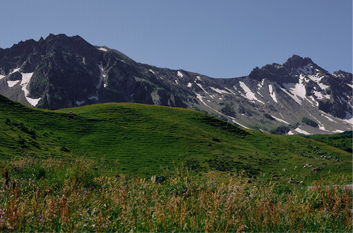 A green mountain meadow below a snow-streaked ridge