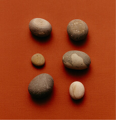 Small dark seeds arranged on a deep red surface