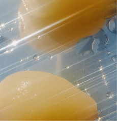 A pool of water beaded on a pale blue surface