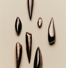 Dark glossy seed pods scattered across a pale sand ground