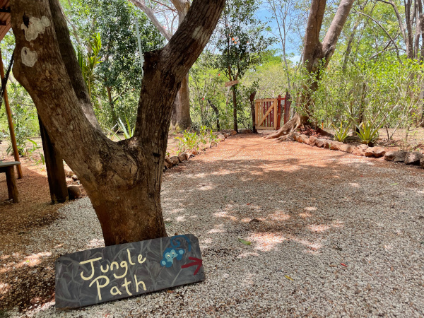 jungle path sign at the ketamine retreat center
